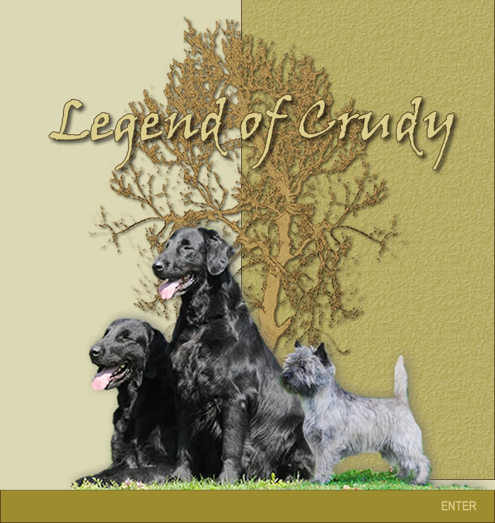 Allevamento Cairn Terrier e Flat Coated Retriever Legend of Crudy